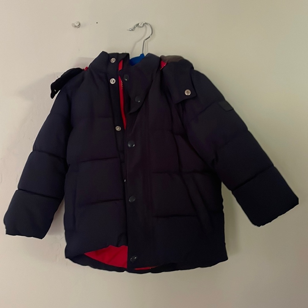 BabyGap Blue Puffer Jacket